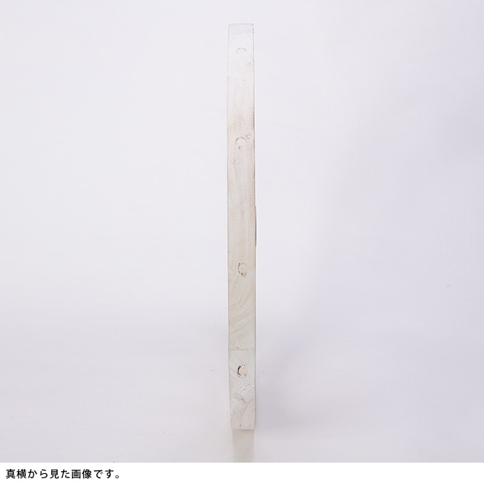 ���������ط������ʥ��ȡ�ľ��50cm ����ƥ�������ʪ������/������졡�������/�ǥ����ץ쥤/����åץǥ�����/�ۥ����뷿/�����ǥ�/�����ǥ˥�/�������ƥꥢ/