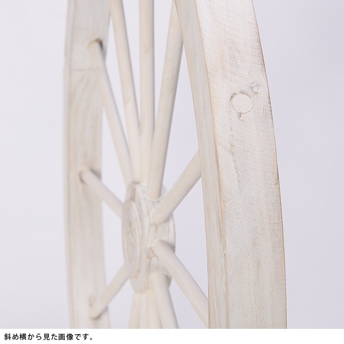 ���������ط������ʥ��ȡ�ľ��50cm ����ƥ�������ʪ������/������졡�������/�ǥ����ץ쥤/����åץǥ�����/�ۥ����뷿/�����ǥ�/�����ǥ˥�/�������ƥꥢ/