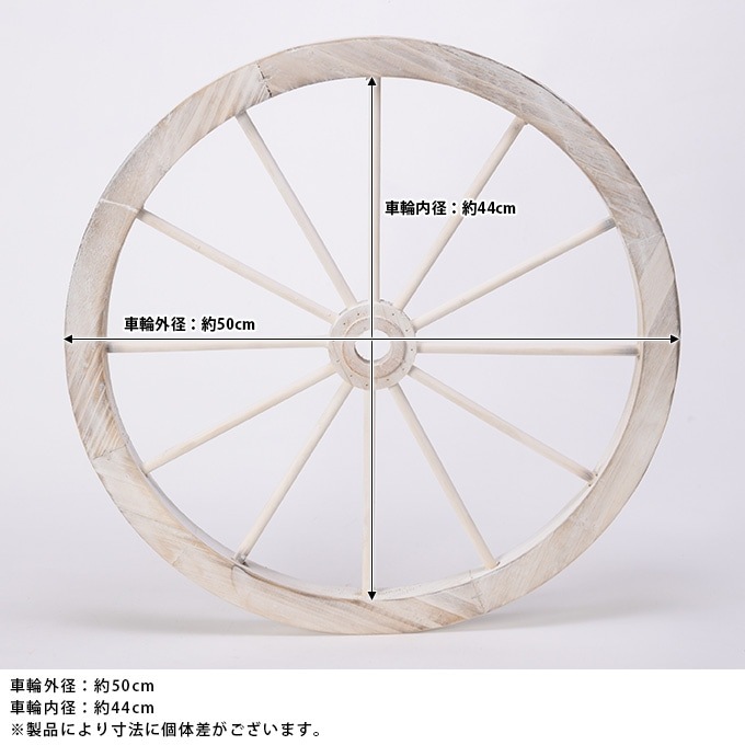 ���������ط������ʥ��ȡ�ľ��50cm ����ƥ�������ʪ������/������졡�������/�ǥ����ץ쥤/����åץǥ�����/�ۥ����뷿/�����ǥ�/�����ǥ˥�/�������ƥꥢ/