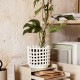 ferm LIVING �ե������ӥ� ����ߥå� �Х����å� ���⡼�� ľ��16cm  �̲� ���� ����ƥꥢ ���� ������� ��ʪ���� �ǥ�ޡ��� ��Ǽ ƫ�� �ݥåȥ��С� ȭ���С� ����ƥꥢ���� �̲����� ���å��� ���� ��ӥ�