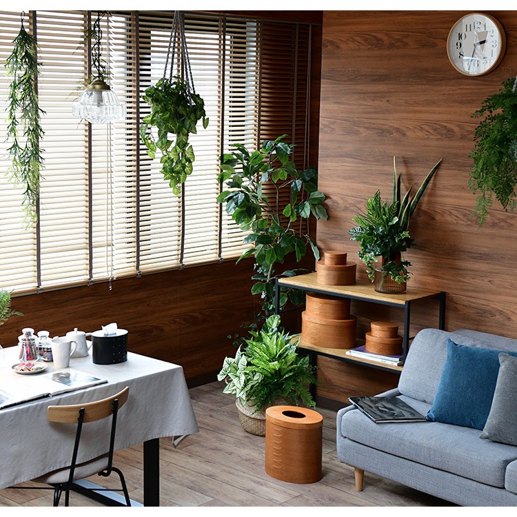 �����������ܥå��� AXCIS ���������� �饦��ɥܥå��� M  ��ʪ���� ���� ���դ� ��Ǽ�ܥå��� �դ��դ� �ʥ����� �¥���� ���� �̲� ����ƥꥢ ���� ��Ǽ������ ��Ȣ Homestead  ������̵����