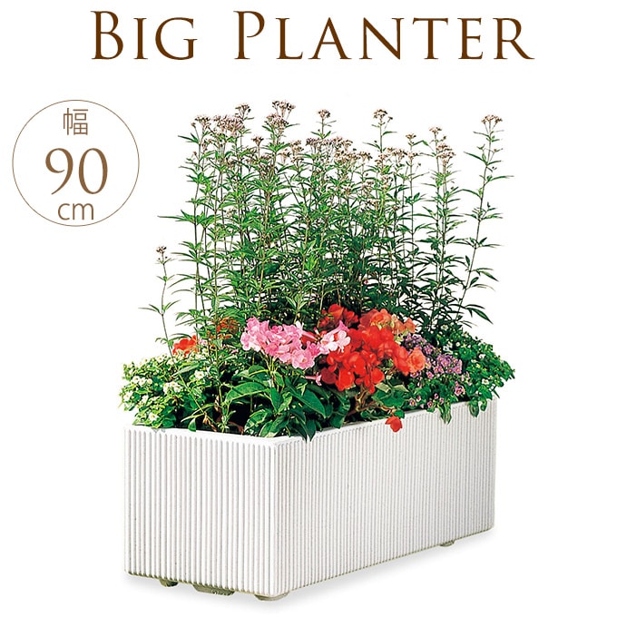 ץ󥿡 ȭ 緿ץ󥿡 ƥܥåȥ饤 礭 緿Ĺ  ͳ/ ܥå 󤻿/ ̳ Ź/ۥ磻 /ӡ ȥ /ˡ /± ع/ץ󥿡/̵嵡ǽ/