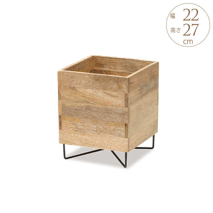 �䤵���� �ޥ󥴡����å� �ץ�󥿡�������� ���塼�� ����� �⤵22cm ���� ������� �ץ�󥿡�������ɥ���ƥ�����/�������� ȭ�֤�/�ץ�󥿡�������/���� ���� ��/�ץ�󥿡���å�/�ץ�󥿡���/�٥���/