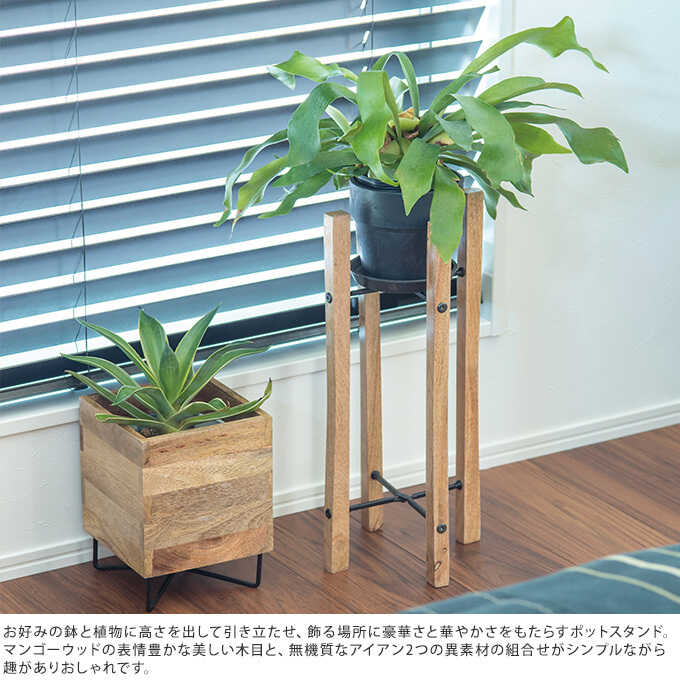 �䤵���� �ޥ󥴡����å� �ץ�󥿡�������� ���塼�� ����� �⤵22cm ���� ������� �ץ�󥿡�������ɥ���ƥ�����/�������� ȭ�֤�/�ץ�󥿡�������/���� ���� ��/�ץ�󥿡���å�/�ץ�󥿡���/�٥���/