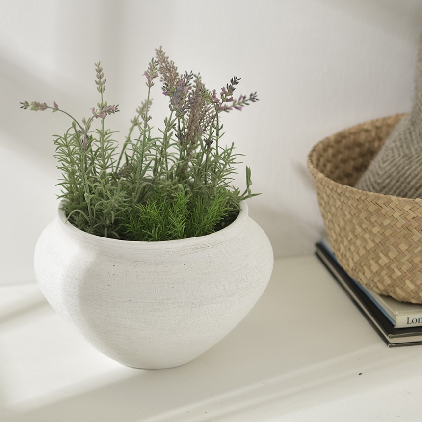 ���� �礭�� ƫ�� �� �䷿ ���� M ľ��27cm  ������� �ե��١��� ȭ �ۥ磻�� �ݥå� ���ʤ� ����ƥꥢ ���� �� �� �緿