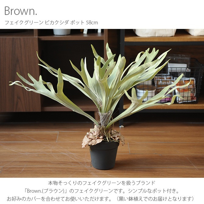 Brown. �֥饦�� �ե��������꡼�� �ӥ������� �ݥå� 58cm ���տ�ʪ ���������¤�� �ꥢ��/���꡼�� ��� �ǥ���/�������/����ƥꥢ/�ǥ����ץ쥤/����/¿����ʪ/����/��/