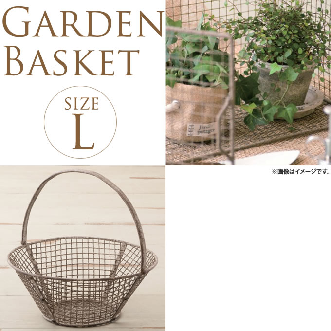 ����ƥ����������ǥ�Х����åȡ�L��������ľ��30cm ������������������/������졡�������/����/�ǥ����ץ쥤/���֥���/�İ���/�����ǥ�/�����ǥ˥�/�������ƥꥢ/