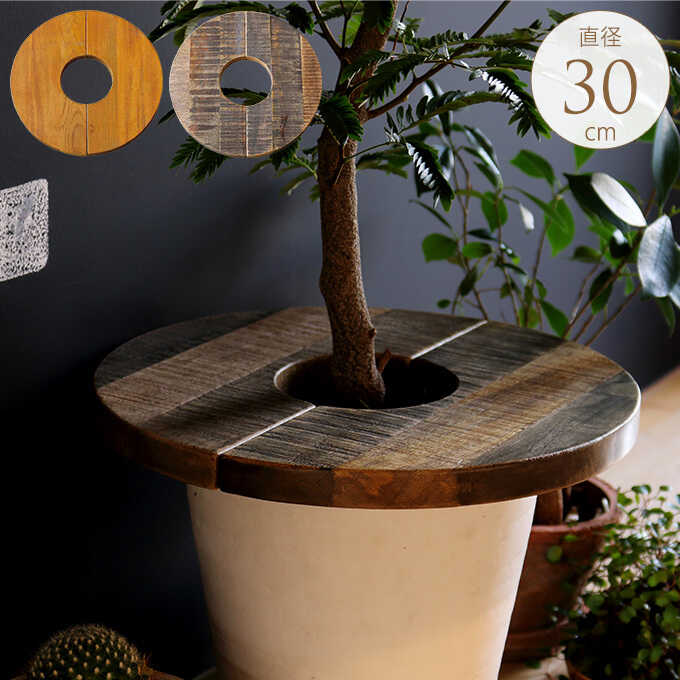 Mash �ޥå��� �ץ�󥿡��ơ��֥� ŷ����  �������� 30cm �ץ��ȥơ��֥� ŷ�ĥ����ɥơ��֥� �����ҡ��ơ��֥�/�� ���� ���å�/���� ȭ���С� ȭ/�ޥ����/�ץ�󥿡��ܥå���/���տ�ʪ ���� ����/�������/�ڥåȤ��������ɻ�/