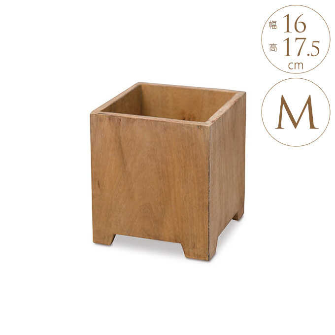 �䤵���� �ޥ󥴡����å� �ץ�󥿡����С� ���塼�� M �⤵17.5cm �ץ�󥿡� ���С��������/����/�ץ�󥿡��ݥå�/