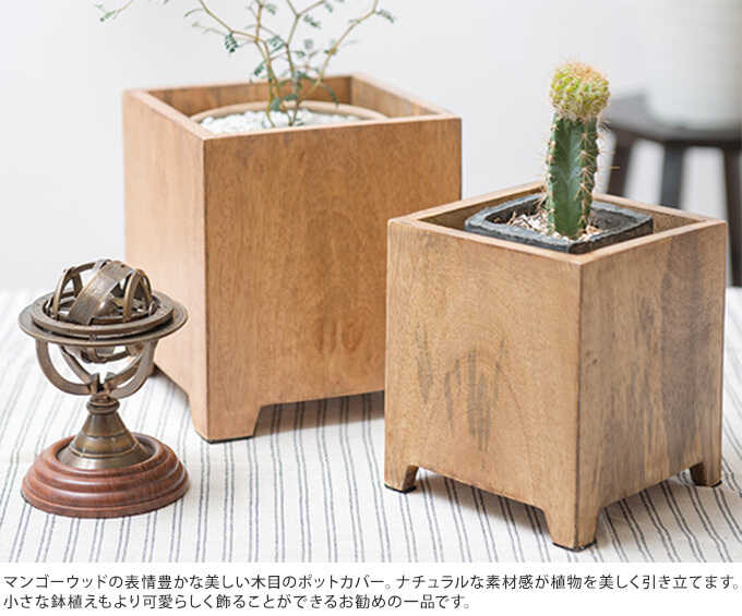 �䤵���� �ޥ󥴡����å� �ץ�󥿡����С� ���塼�� M �⤵17.5cm �ץ�󥿡� ���С��������/����/�ץ�󥿡��ݥå�/