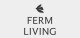 ferm LIVING եӥ 󼡸ȤԻ׵Ĥʲ ڡȥ١  Slim  ̲   ե١  ƥꥢ ƫ ץ쥼 ե  ̲ ̲ƥꥢ ƥꥢ