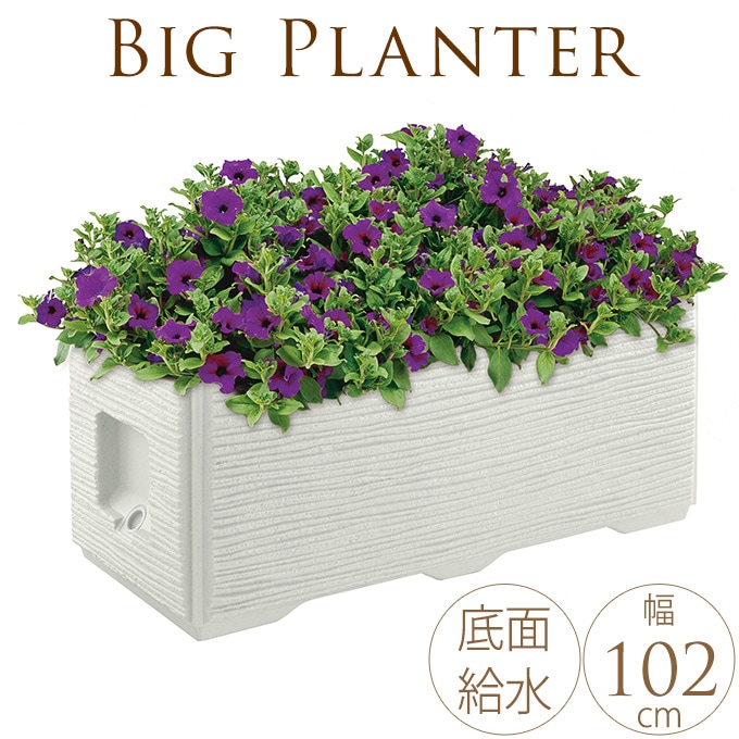 �ץ�󥿡� ȭ �緿 �ץ�󥿡� ���ƥ��ܥå��� Combing �礭�� Ĺ���� �������� �ͳ�/���� �󤻿���/���� ��̳��/��/���ӡ� ����ȥ�� ���/ˡ�� ���� ��� ���� �ӥ�/�±� �ع� Ź��/������ץ�󥿡�/���̵�嵡ǽ/