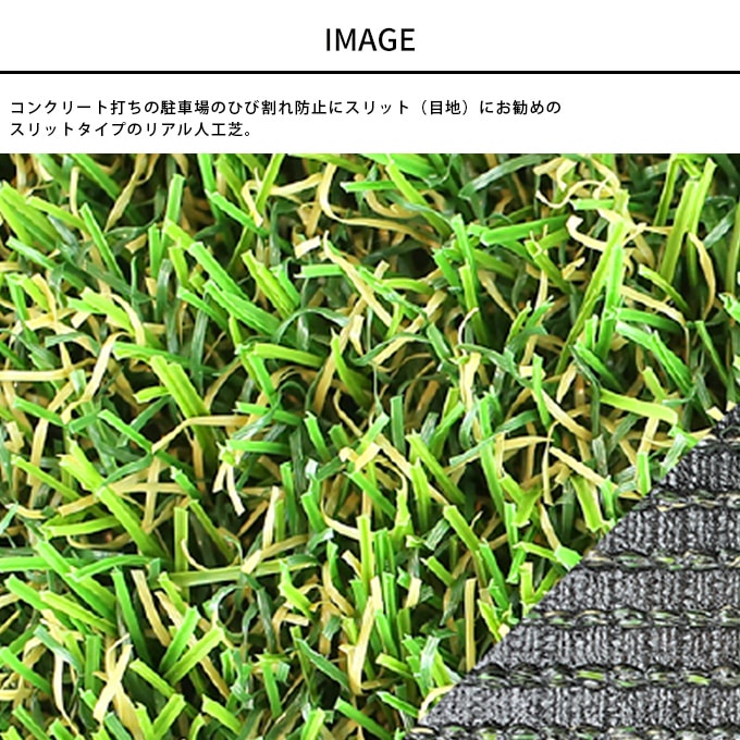 �͹��� �ꥢ�� ���͹��� �͹��� ��� ���꡼�����ե���å� ������  �͹����� �����ޥå� �͹������ޥå� ���� ���� �� �٥��� ���� �ޥå� �͹� ���꡼�� �� �ɲ� ���� �Ҷ�  ������̵����