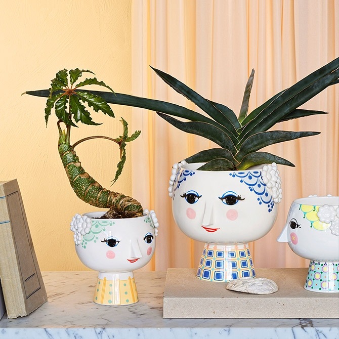 ӥ֥å   եݥå ľ21cm     ̲ ƥꥢ  ե١ ١  ͵