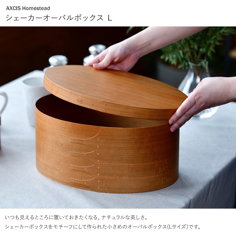 ܥå AXCIS  Хܥå L ʥ  ʪ  դ Ǽܥå դդ ʥ ¥  ̲ ƥꥢ  Ǽ Ȣ Homestead  ̵