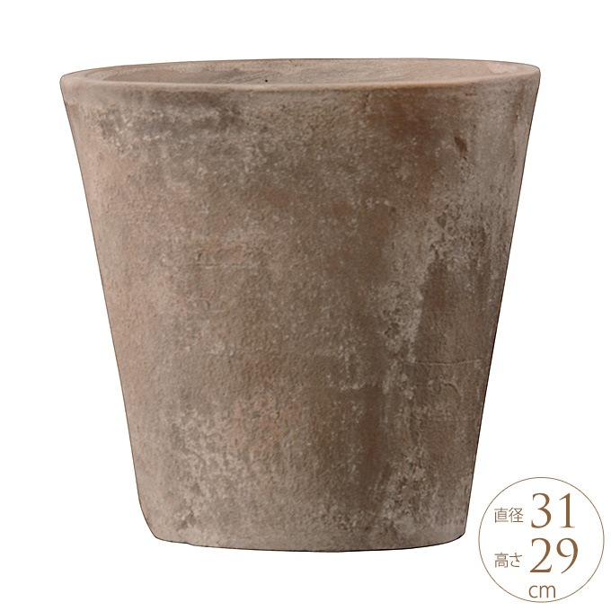 �緿 ȭ �ץ�󥿡� �ƥ饳�å� ����å� ľ��31cm  �礭���ʥ�����/����/����ȭ/����ȥ��/����/�Х륳�ˡ� ���� ����/�󤻿���/���տ�ʪ ���ܥƥ� ¿����ʪ/���� ����ƥ�����/