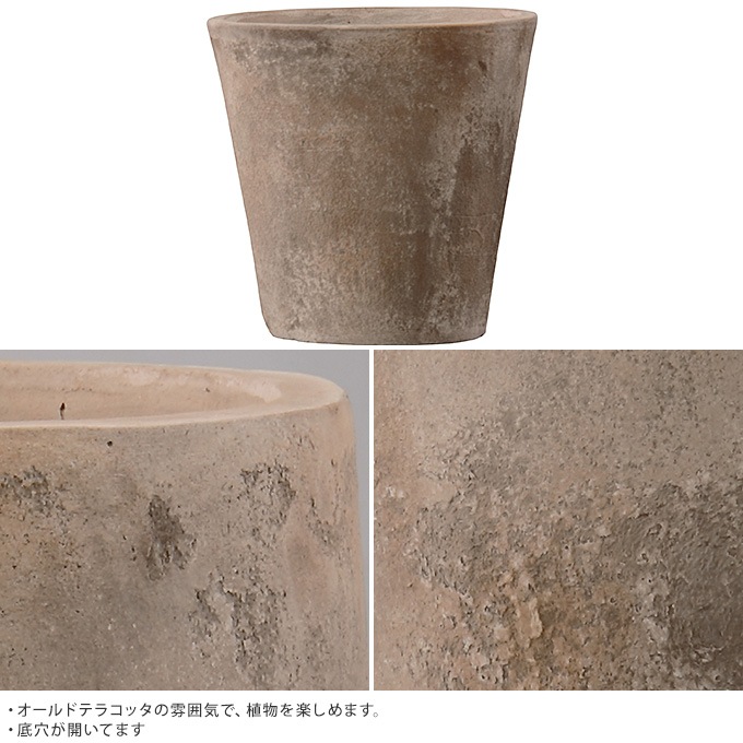 �緿 ȭ �ץ�󥿡� �ƥ饳�å� ����å� ľ��31cm  �礭���ʥ�����/����/����ȭ/����ȥ��/����/�Х륳�ˡ� ���� ����/�󤻿���/���տ�ʪ ���ܥƥ� ¿����ʪ/���� ����ƥ�����/