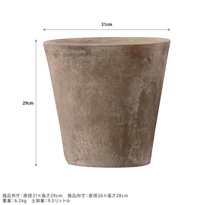 �緿 ȭ �ץ�󥿡� �ƥ饳�å� ����å� ľ��31cm  �礭���ʥ�����/����/����ȭ/����ȥ��/����/�Х륳�ˡ� ���� ����/�󤻿���/���տ�ʪ ���ܥƥ� ¿����ʪ/���� ����ƥ�����/
