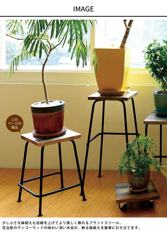 �ե�������� ���� �⤵40cm ���� �ץ�󥿡�������ɥ��ġ��� �����ҡ��ơ��֥�/ȭ���� �ץ�󥿡���/�ե���å� �ץ�󥿡���å�/���տ�ʪ ���� ����/�������/����ƥꥢ �������/���տ�ʪ/�ǥ����ץ쥤/