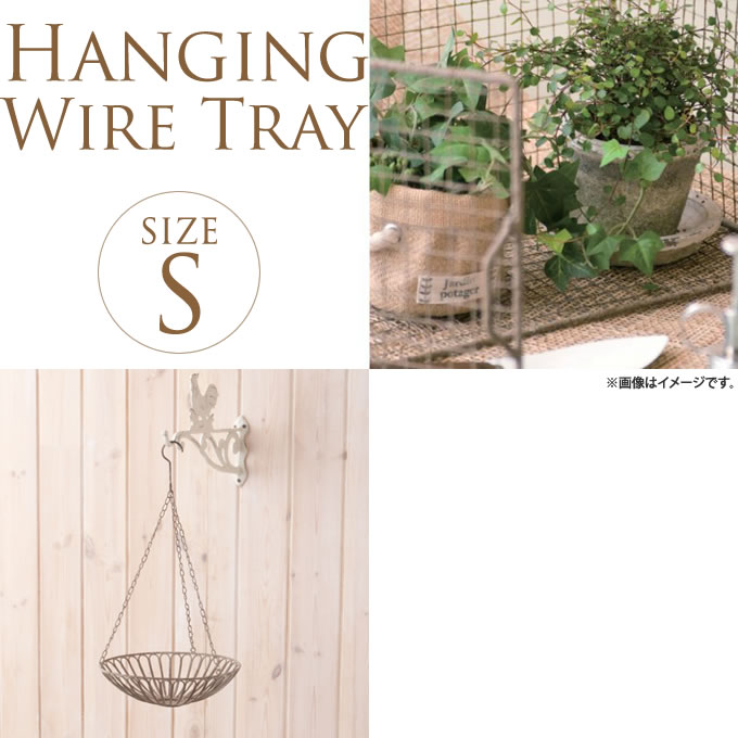 ����ƥ������ϥ󥮥󥰥ȥ쥤�����󥰥롡ľ��26cm �ߤ겼�����󤻿���/��ȥ�/�ǥ�����/������졡�������/��ʪ����/�ǥ����ץ쥤/�����ǥ�/�����ǥ˥�/�������ƥꥢ/