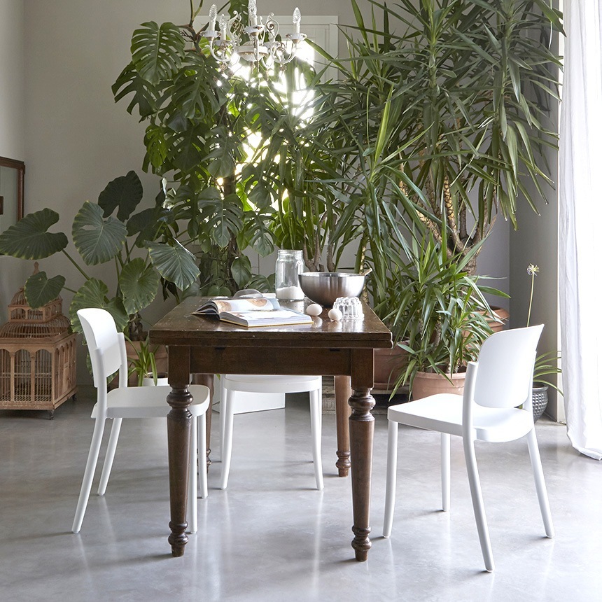 �����å��󥰥����� ���� ������� �����ǥ������ COLOS �ԥ��åĥ�1  ���ե������� ���� �٥��� ������ �����ꥢ�� �͵� ���� �֥���