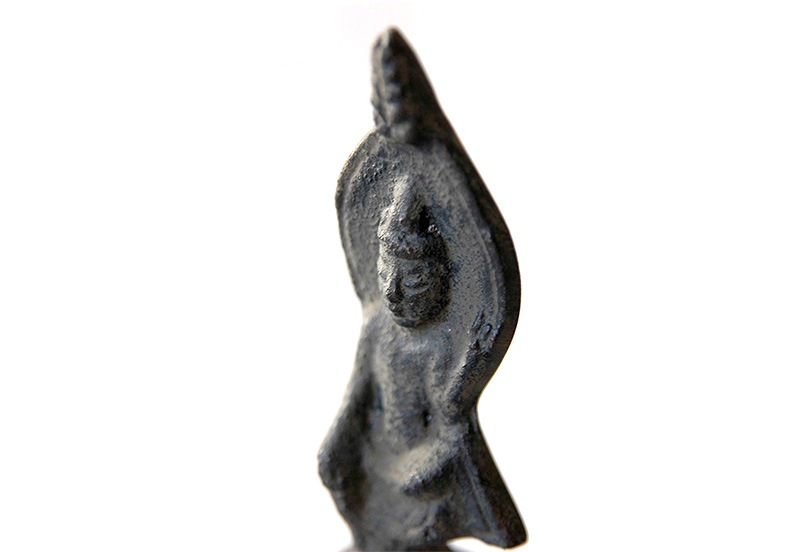 ʩ�� ������ ��� ���������� �ۤȤ����� �װ�  ��ΤҤ� �����⤭ ʩ�� ʩ�� ���� �� ���� ��ʪ ����ƥꥢ ������ �ߥ˥�����