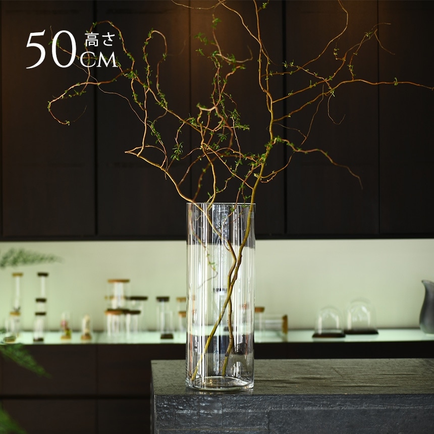 ���饹 ���� Ʃ�� �̲� �緿 ����ץ� ���� ���饹 EURO���饹 ľ��19�߹⤵50cm ���ꥢ�� �ե��١��� ������� �礭��