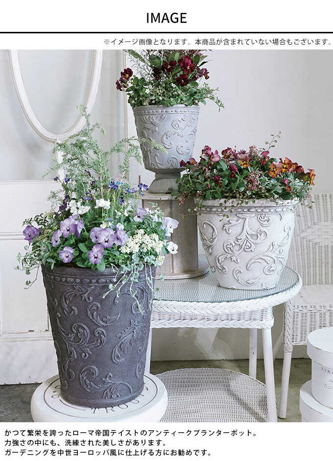 ƥ ץ󥿡 ѥޡ ޤαɸ ٥ ֥å B ȭ//ꤢ/衼å//٥/