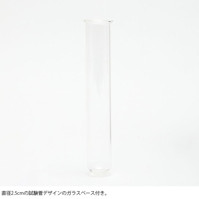 Horn Please �ۡ��� �ץ꡼�� BRASS �ե�������� W/GLASS L �ե�������ɿ��/���饹 ���饹�١���/��� �ե饹��/������� ������/����ץ�/�̲�/�����ޤ�/�ڹ� �ڹ񥤥�ƥꥢ/��åԥ� ����� ̵����åԥ� ���ե� �ץ쥼��� ��������/