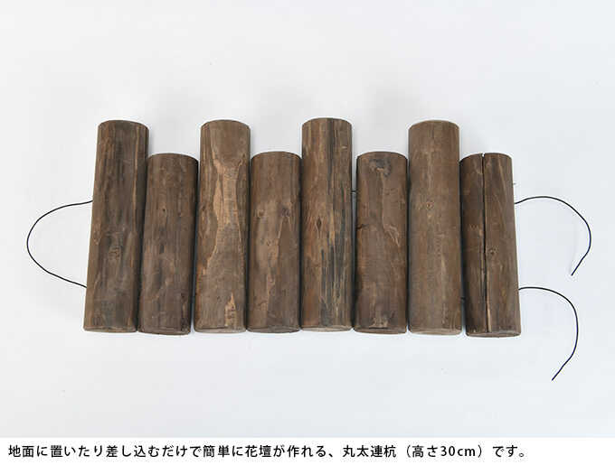  Ϣ Ϥ ڤ  α Ϣź   ƥ ǥ˥ å  ٥  ñ 