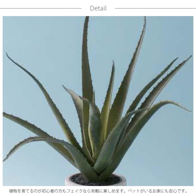 Brown. ֥饦 ٥ ݥå 48  տʪ ¤ ꥢ/꡼  ǥ//ƥꥢ/ǥץ쥤//¿ʪ///