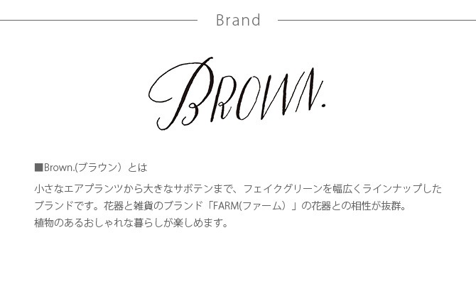 Brown. ֥饦 ٥ ݥå 48  տʪ ¤ ꥢ/꡼  ǥ//ƥꥢ/ǥץ쥤//¿ʪ///