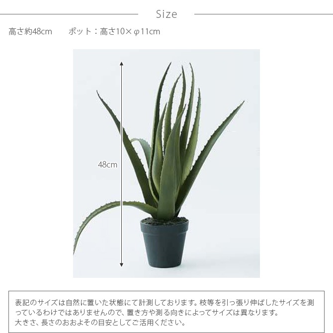 Brown. ֥饦 ٥ ݥå 48  տʪ ¤ ꥢ/꡼  ǥ//ƥꥢ/ǥץ쥤//¿ʪ///