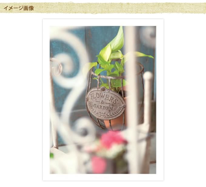 ����ƥ��������ɳݤ��Х����åȡ�S������ �ϥ󥮥󥰥�ȥ�/������졡�������/�ץ�󥿡��ݥå�/�ե��ݥå�/�����ǥ�/�����ǥ˥�/�������ƥꥢ/