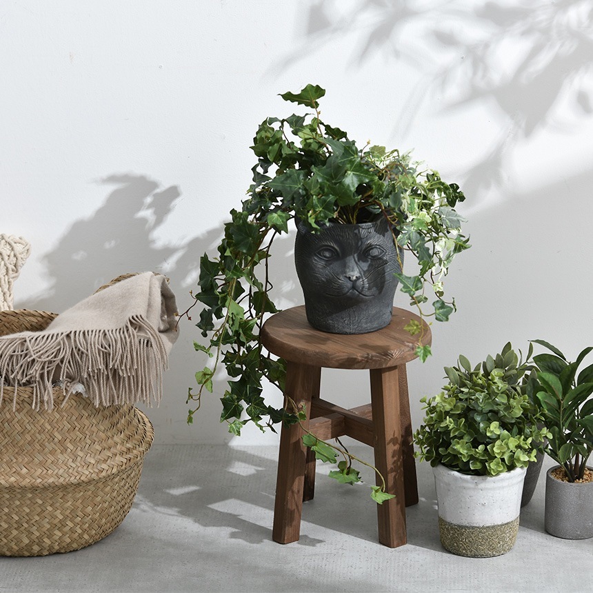 ץ󥿡 ȭ ƥ ץ󥿡 ѥޡ ǭβ ֥å ץ󥿡ݥåȤ/ȭ ǭ ͥ å/ꤢ/衼å/ǥ/  /տʪ ʪ ܥƥ ¿ʪ/ƥꥢ/