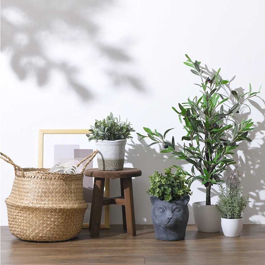 ץ󥿡 ȭ ƥ ץ󥿡 ѥޡ ǭβ ֥å ץ󥿡ݥåȤ/ȭ ǭ ͥ å/ꤢ/衼å/ǥ/  /տʪ ʪ ܥƥ ¿ʪ/ƥꥢ/