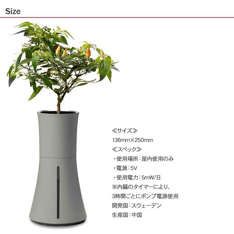 ץ󥿡 ȭ Botanium ܥ˥ ư弰ץ󥿡 ݥå ڱ७åȤ/鿴  ñ/ϡ ƴ Х/ϥɥ 㡼/̲ ƥꥢ/̺/ư/  å/åԥ /