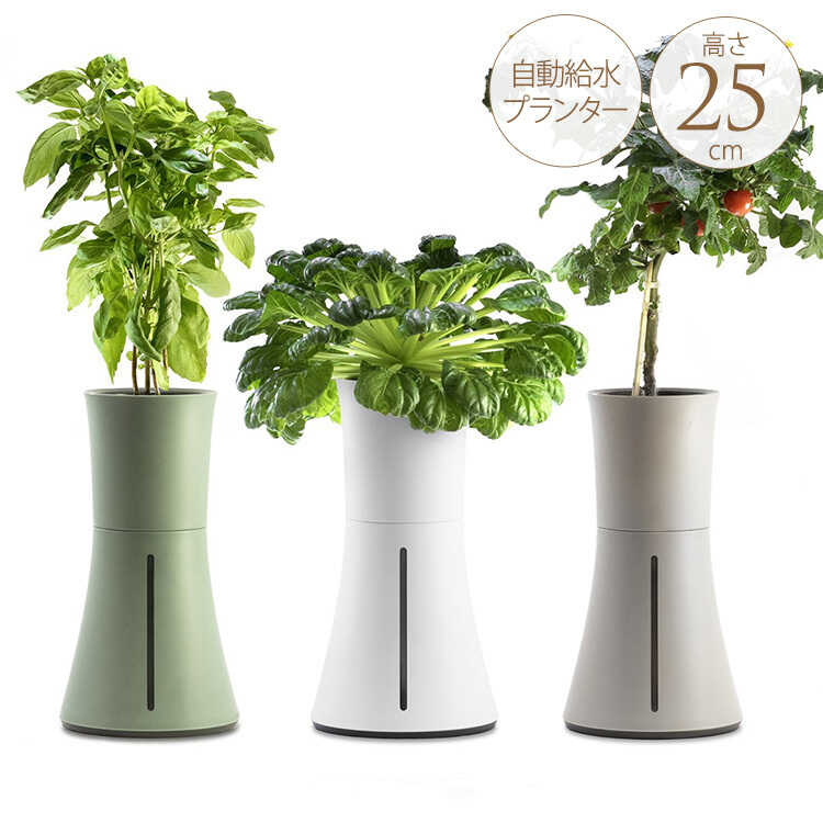 ץ󥿡 ȭ Botanium ܥ˥ ư弰ץ󥿡 ݥå ڱ७åȤ/鿴  ñ/ϡ ƴ Х/ϥɥ 㡼/̲ ƥꥢ/̺/ư/  å/åԥ /