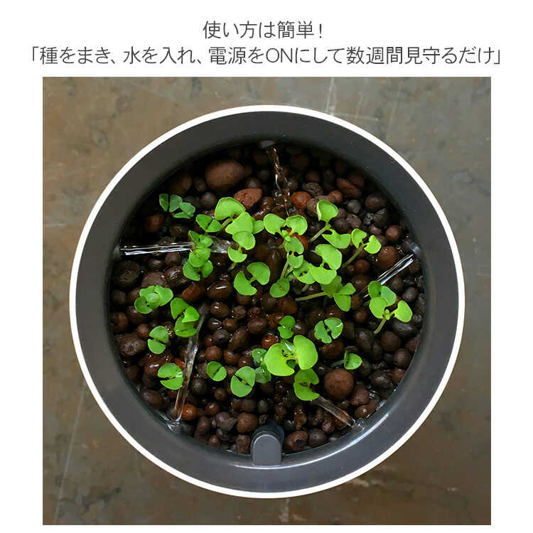 ץ󥿡 ȭ Botanium ܥ˥ ư弰ץ󥿡 ݥå ڱ७åȤ/鿴  ñ/ϡ ƴ Х/ϥɥ 㡼/̲ ƥꥢ/̺/ư/  å/åԥ /