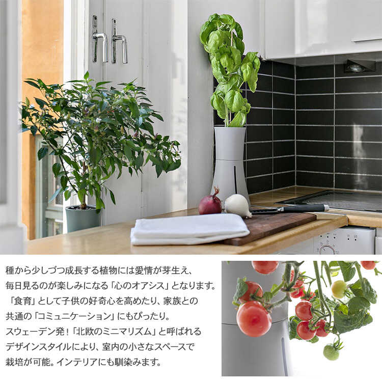 ץ󥿡 ȭ Botanium ܥ˥ ư弰ץ󥿡 ݥå ڱ७åȤ/鿴  ñ/ϡ ƴ Х/ϥɥ 㡼/̲ ƥꥢ/̺/ư/  å/åԥ /