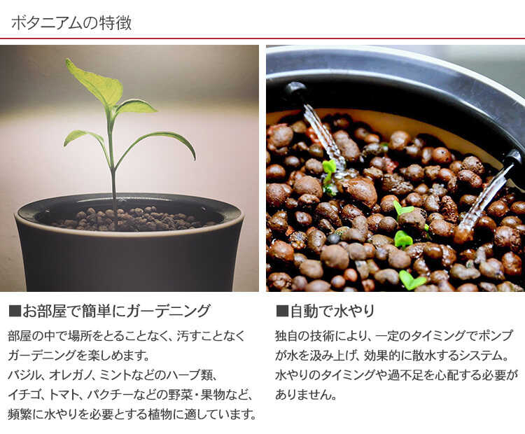 ץ󥿡 ȭ Botanium ܥ˥ ư弰ץ󥿡 ݥå ڱ७åȤ/鿴  ñ/ϡ ƴ Х/ϥɥ 㡼/̲ ƥꥢ/̺/ư/  å/åԥ /