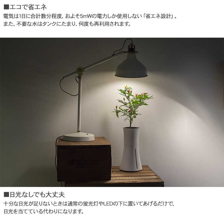 ץ󥿡 ȭ Botanium ܥ˥ ư弰ץ󥿡 ݥå ڱ७åȤ/鿴  ñ/ϡ ƴ Х/ϥɥ 㡼/̲ ƥꥢ/̺/ư/  å/åԥ /