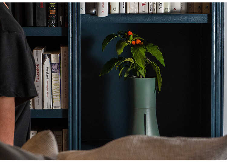 ץ󥿡 ȭ Botanium ܥ˥ ư弰ץ󥿡 ݥå ڱ७åȤ/鿴  ñ/ϡ ƴ Х/ϥɥ 㡼/̲ ƥꥢ/̺/ư/  å/åԥ /