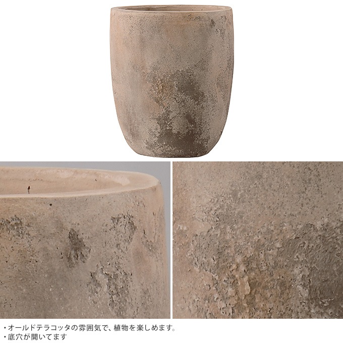 �緿 ȭ �ץ�󥿡� �ƥ饳�å� ����ȥ��å� ľ��43cm �礭���ʥ�����/����/����ȭ/����ȥ��/���� �ޥ󥷥��/�Х륳�ˡ� ���� ����/�󤻿���/���տ�ʪ ���ܥƥ� ¿����ʪ/���� ����ƥ����� �ӥ�ơ���/