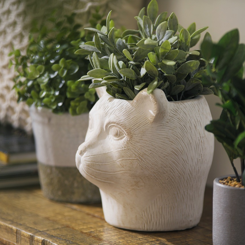 ץ󥿡 ȭ ƥ ץ󥿡 ѥޡ ǭβ ۥ磻 ץ󥿡ݥåȤ/ȭ/ꤢ/衼å/