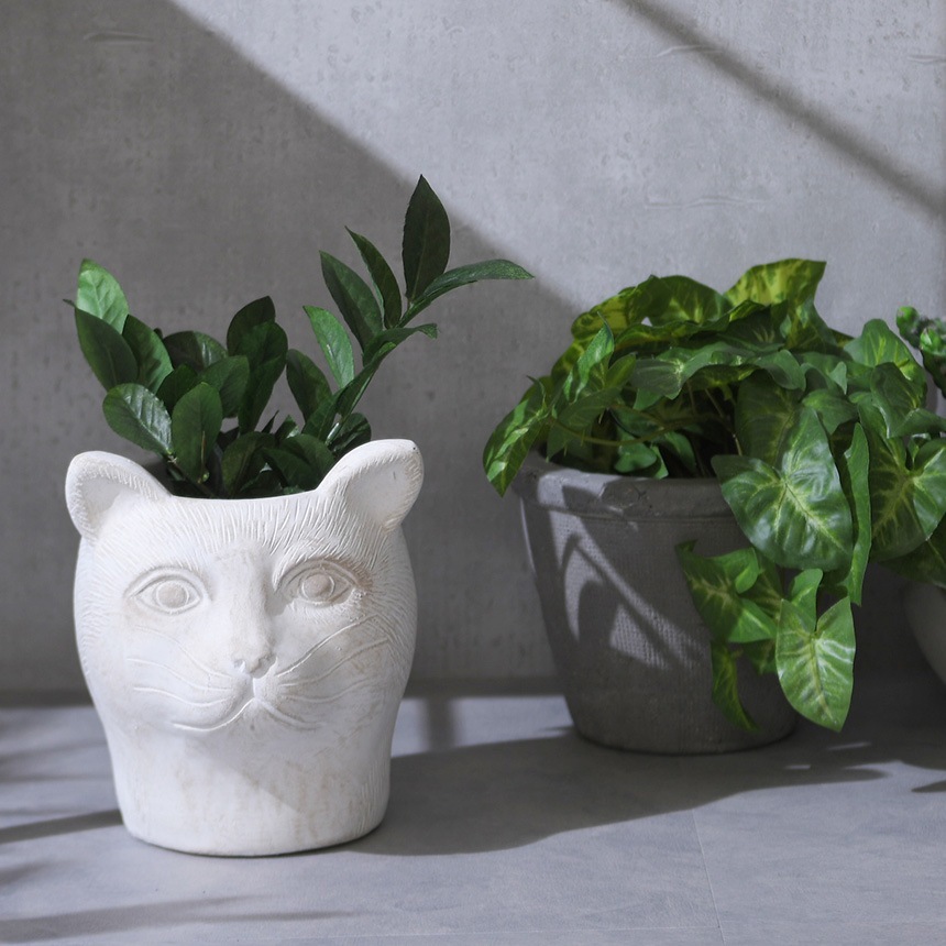 ץ󥿡 ȭ ƥ ץ󥿡 ѥޡ ǭβ ۥ磻 ץ󥿡ݥåȤ/ȭ/ꤢ/衼å/