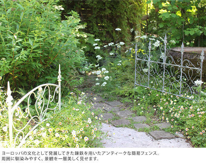   ǥե ɤ ե   ֥ƥå ե ֥å ֹ⤵50cm  ڤ Ϥ  