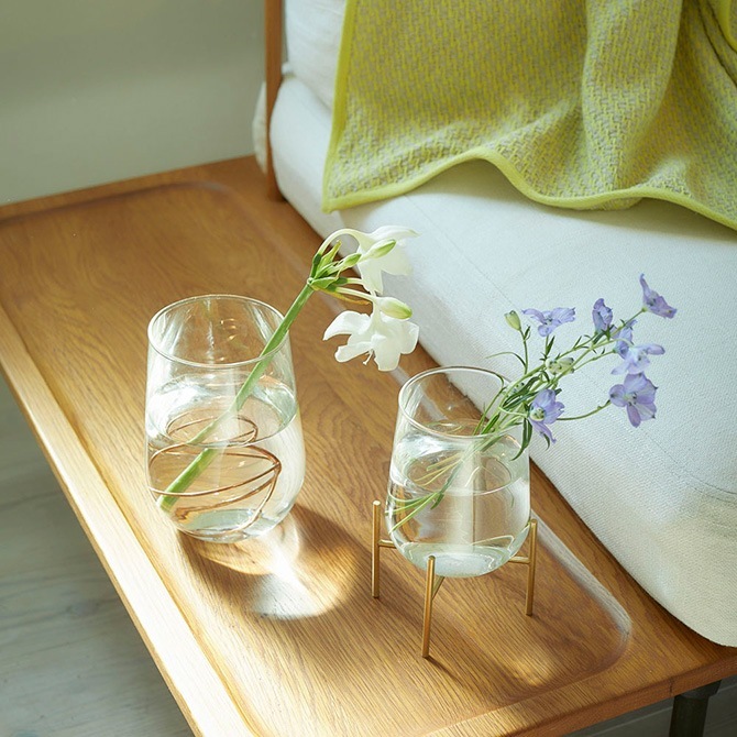 饹  ץ  ۡ ץ꡼ 塼饹 ե١  S  ̲ ƥꥢ  Ʃ ꥢ