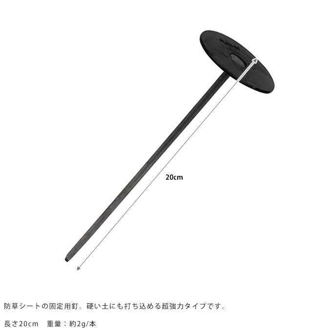 ���𥷡����� ����ţ 20cm 20������ �����ȸ���ԥ�/���𥷡��Ȳ���/���� �ѡ���/