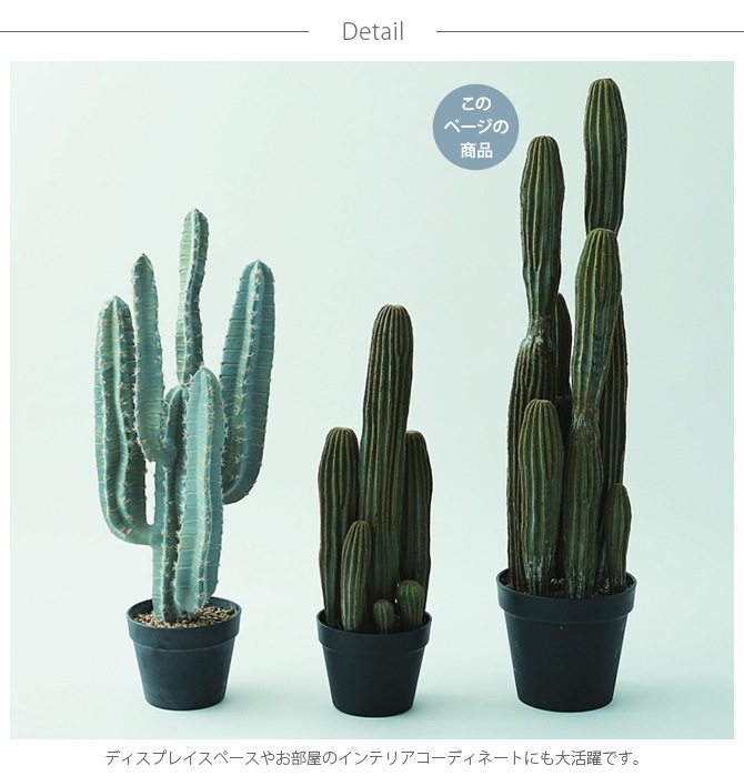 Brown. �֥饦�� �쥵�ܥƥ� �ݥå� 91 ���տ�ʪ ���ܥƥ�¤�� �緿 �礭��/���꡼��/�������/����ƥꥢ/�ǥ����ץ쥤/����/¿����ʪ/����/��/